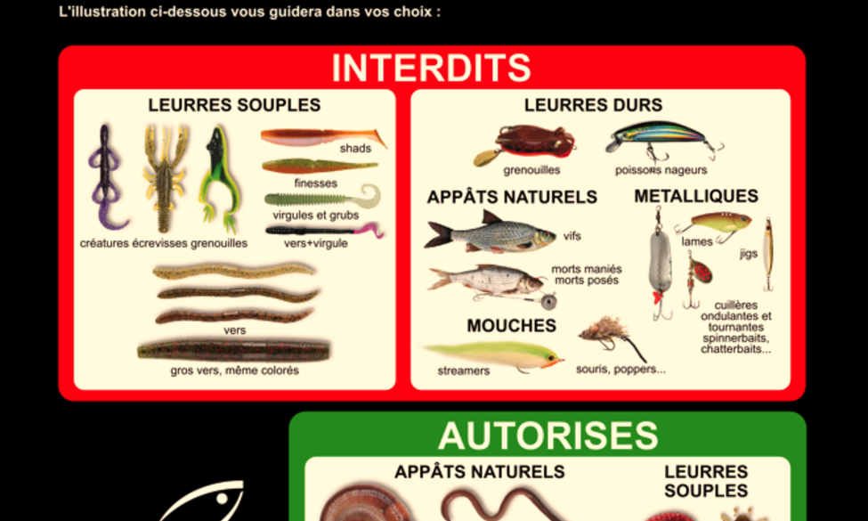 Attention période fermeture Brochet