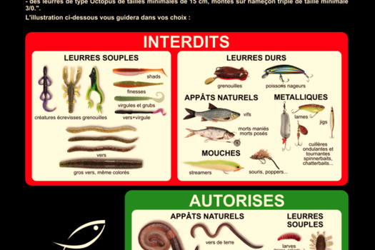 Attention période fermeture Brochet