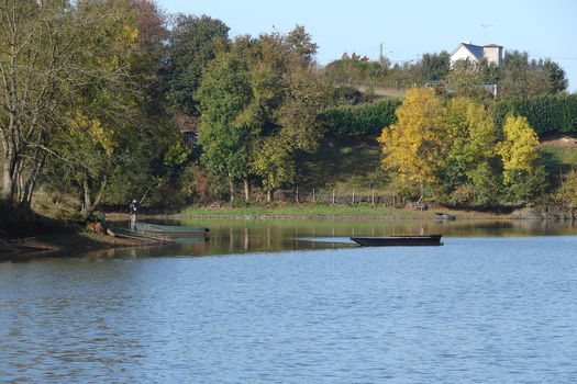 Interdiction de pêche sur l'étang de la Forge