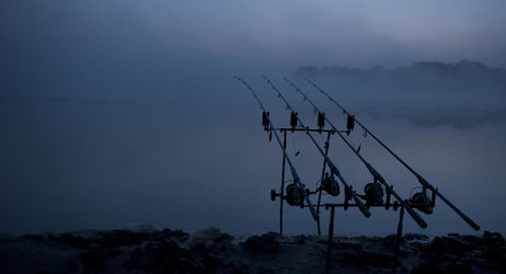 Soirée pêche de la carpe à Guipry-Messac
